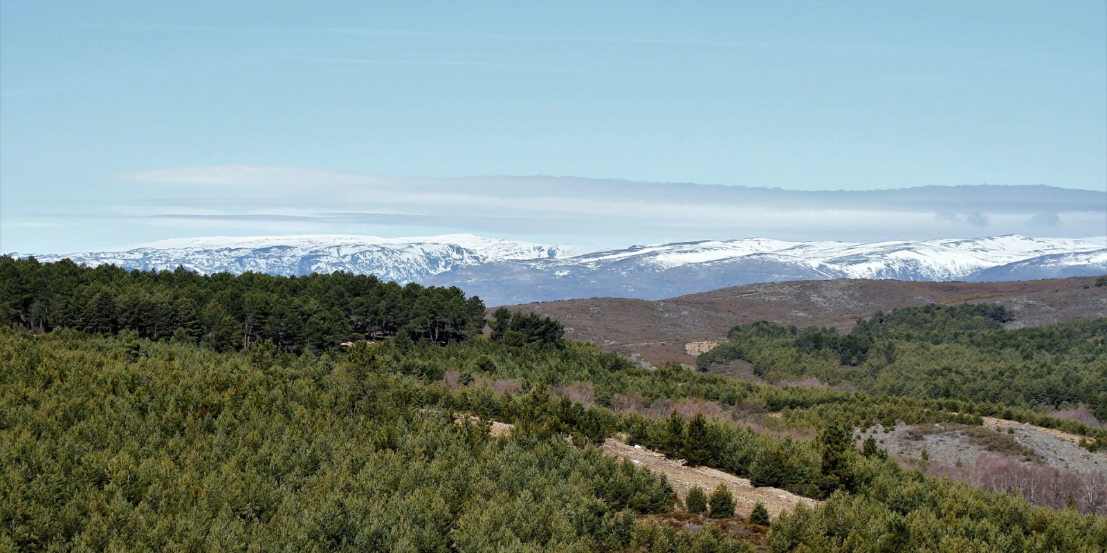 Tierra de Lobos
